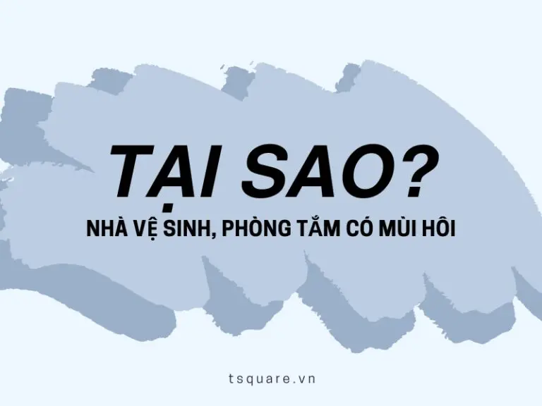 tại sao nhà vệ sinh có mùi hôi