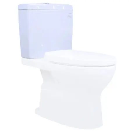 Két Nước Và Nắp Sứ Bồn Cầu TOTO HSW320PV#W (CS320, CS945)