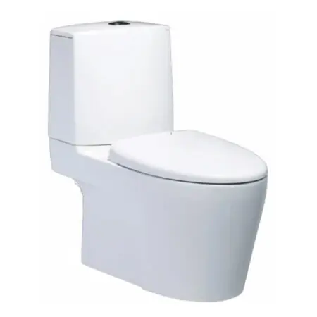 Bồn Cầu CAESAR CD1345 Thùng T1145 Nắp Êm