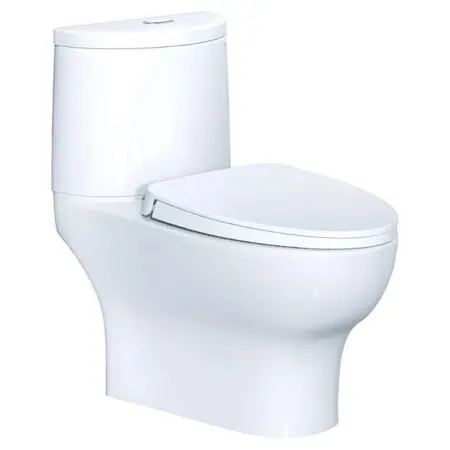 Bồn Cầu CAESAR CD1349 Thùng T1149 Nắp Êm