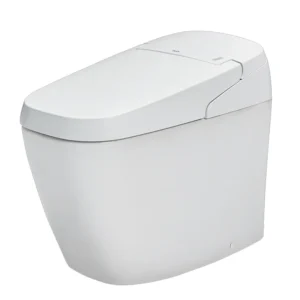 Bồn Cầu Thông Minh INAX AC-G216VN Satis Trắng