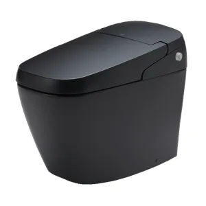 Bồn Cầu Thông Minh INAX AC-G216VN/BKG Satis Màu Đen