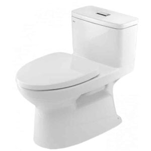 Bồn Cầu INAX AC-969VN (AC969VN) 1 Khối Aqua Ceramic