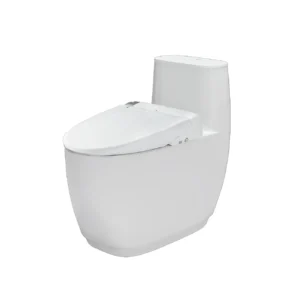 Bồn Cầu Thông Minh INAX AC-1052/CW-KA22AVN