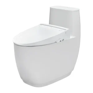 Bồn Cầu Thông Minh INAX AC-1052/CW-KB22AVN