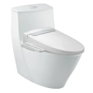 Bồn Cầu Nắp Điện Tử INAX AC-919R/CW-H20VN