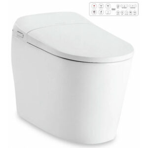 Bồn cầu điện tử có tốn điện không? Chi phí điện mỗi tháng bao nhiêu? Bồn Cầu Thông Minh American Standard WP-70DY e-Lite Tự Động