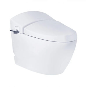Bồn Cầu COTTO C10037 1 Khối Terranova Cao Cấp