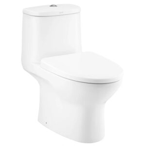 Bồn Cầu COTTO C1053 1 Khối Nắp C91252 Micc Xả Nhấn