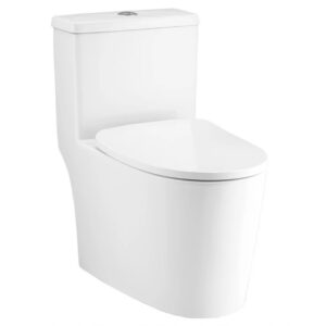 Bồn Cầu COTTO C11003HOS (C11003H) 1 Khối Wynn Xả Nhấn