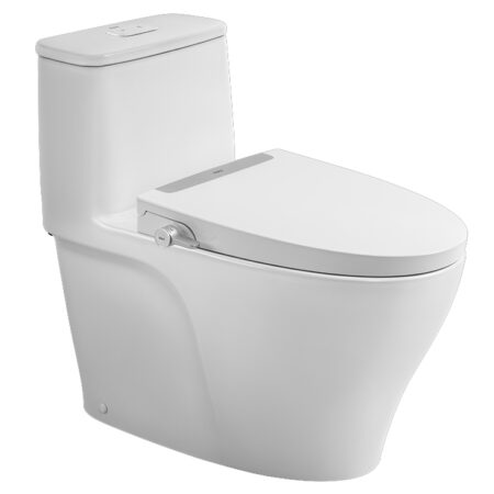 Bồn Cầu INAX AC-989+CW-S32VN Nắp Rửa Cơ