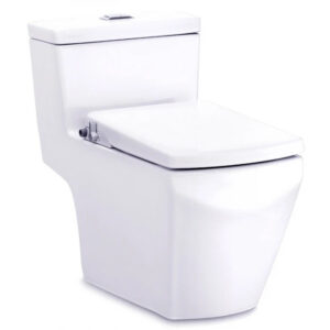 Bồn Cầu COTTO C107127(CN) Nắp Rửa Cơ Tetragon