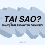 tại sao nhà vệ sinh có mùi hôi