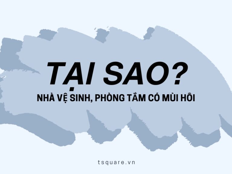 tại sao nhà vệ sinh có mùi hôi
