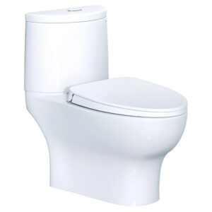 Bồn Cầu CAESAR CD1349 Thùng T1149 Nắp Êm