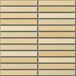 Gạch INAX-1525/EAC-2 (EARTH COLOR BORDER)