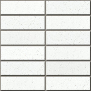 Gạch INAX-355/EAC-1 (EARTH COLOR BORDER)