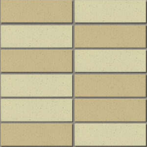 Gạch INAX-355/EAC-2 (EARTH COLOR BORDER)