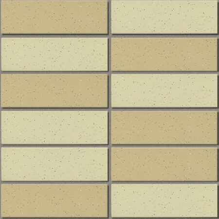 Gạch INAX-355/EAC-2 (EARTH COLOR BORDER)