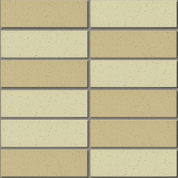 Gạch INAX-355/EAC-2 (EARTH COLOR BORDER)