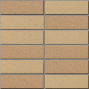 Gạch INAX-355/EAC-3 (EARTH COLOR BORDER)