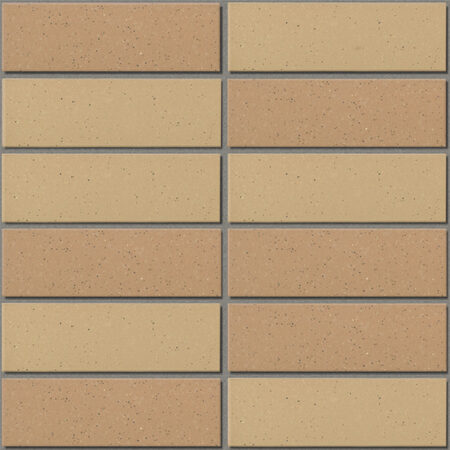 Gạch INAX-355/EAC-3 (EARTH COLOR BORDER)