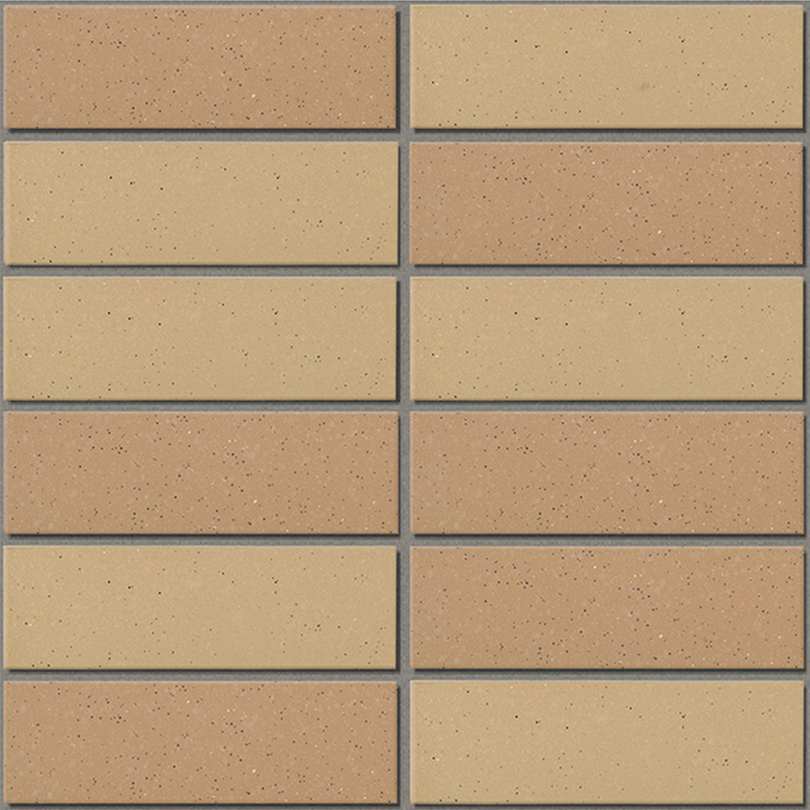 Gạch INAX-355/EAC-3 (EARTH COLOR BORDER)