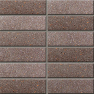 Gạch INAX-355/EAC-4 (EARTH COLOR BORDER)
