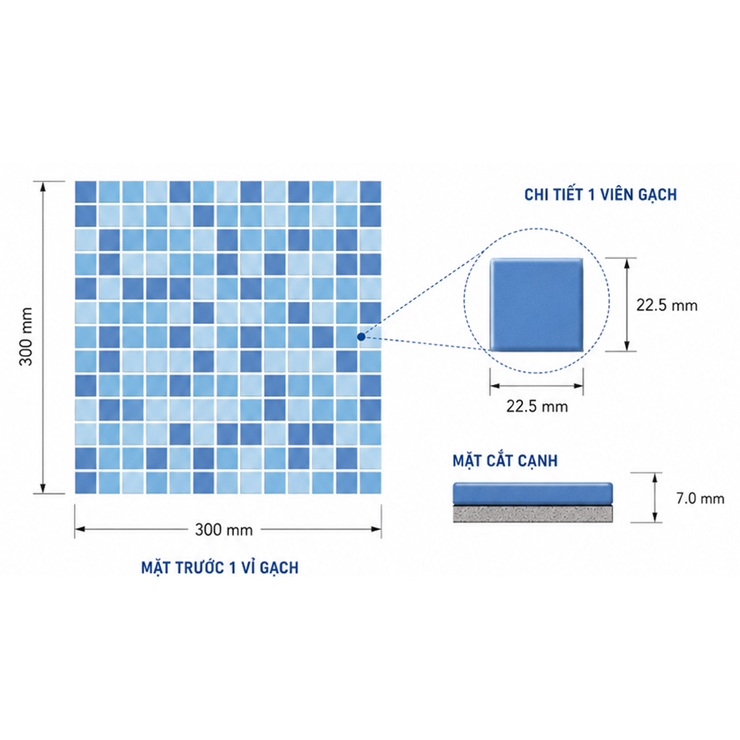 Gạch Hồ Bơi INAX-1025/POL-B1,B2,B3 (POOL TILE) Gạch Hồ Bơi INAX-1025/POL-B1,B2,B3 (POOL TILE)