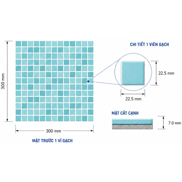Gạch Hồ Bơi INAX-1025/POL-G1,G2,G3 (POOL TILE) Gạch Hồ Bơi INAX-1025/POL-G1,G2,G3 (POOL TILE)